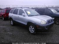 2002 Hyundai Santa Fe GLS/LX KM8SC13D32U201399