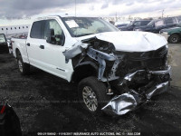 2017 FORD F250 SUPER DUTY 1FT7W2BT3HEC02944