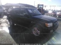 2002 Infiniti QX4 JNRDR09X42W212620