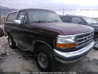 1996 Ford Bronco U100 1FMEU15H8TLB84035