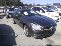 2012 MERCEDES-BENZ SLK 250 WDDPK4HA7CF040015