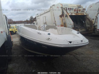 2007 SEA RAY OTHER SERR3121D707