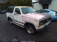 1984 FORD BRONCO U100 1FMEU15F2ELA88614