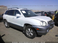 2006 Hyundai Santa Fe GLS/LIMITED KM8SC13D26U102255