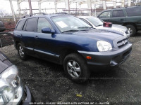 2006 Hyundai Santa Fe GLS/LIMITED KM8SC73EX6U093249