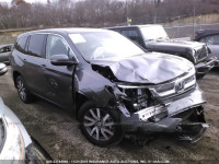 2019 HONDA PILOT EXL 5FNYF6H51KB003272