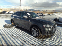 2015 AUDI SQ5 PREMIUM PLUS WA1CGAFP6FA049347