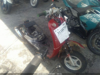 2011 TAO TAO MOPED  L9NTCAPH8B1000106