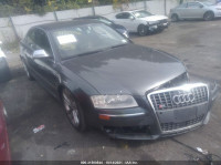 2009 AUDI S8  WAUPN94E29N004056