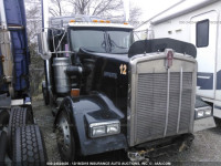 2006 KENWORTH W900 W900 1XKWDB9X16J110248