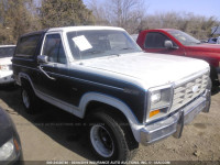 1985 FORD BRONCO U100 1FMEU15H8FLA20899