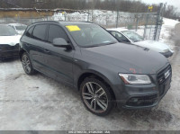 2015 AUDI SQ5 PREMIUM PLUS WA1CGAFP4FA092598