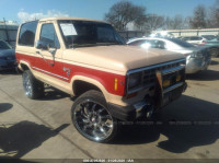 1985 FORD BRONCO II 1FMCU14S3FUB65413