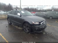 2015 AUDI SQ5 PREMIUM PLUS WA1CGAFP4FA065577