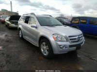 2007 MERCEDES-BENZ GL 450 4MATIC 4JGBF71EX7A251537