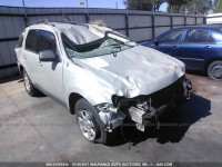 2009 MAZDA TRIBUTE I 4F2CZ02769KM02653