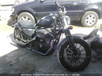 2013 HARLEY-DAVIDSON XL883 IRON 883 1HD4LE210DC422896