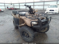 2013 HONDA TRX500 FPM 1HFTE38GXD4100287