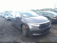 2023 HONDA ODYSSEY EX-L 5FNRL6H6XPB005552