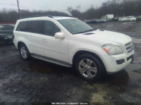 2009 MERCEDES-BENZ GL 450 4MATIC 4JGBF71E29A467109