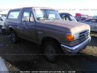 1989 FORD BRONCO U100 1FMEU15N6KLA86514