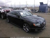 2008 AUDI A5 QUATTRO WAUDK78T38A045164