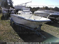2015 BOSTON WHALER OTHER BWCE0617J415