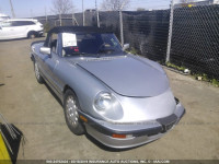 1986 Alfa Romeo Veloce 2000 Spider ZARBA5413G1040041