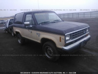 1986 FORD BRONCO II 1FMCU14TXGUC63624