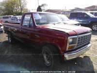 1981 FORD F100 1FTCF10E6BNB06407
