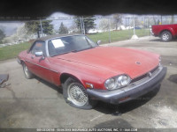 1989 JAGUAR XJS SAJNV4843KC161869