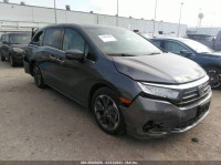 2023 HONDA ODYSSEY ELITE 5FNRL6H98PB017788