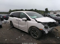 2023 HONDA ODYSSEY ELITE 5FNRL6H93PB021568