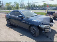 2014 BMW 228I WBA1F5C51EVV99750