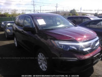 2019 HONDA PILOT LX 5FNYF6H19KB009477
