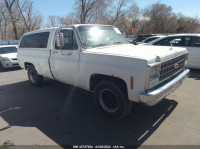 1980 CHEVROLET C20 CCW24AZ117478