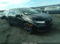 2023 HONDA ODYSSEY SPORT 5FNRL6H71PB006792
