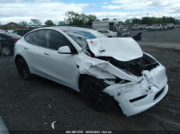 2023 TESLA MODEL Y LONG RANGE 7SAYGDEE0PA102422