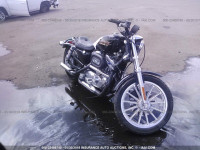 2001 HARLEY-DAVIDSON XL883 HUGGER 1HD4CEM391K135718