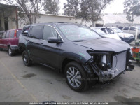 2019 HONDA PILOT EXL 5FNYF5H52KB031933