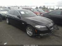 2013 BMW 5 SERIES I WBAXG5C51DD315481