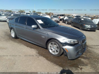 2013 BMW 5 SERIES I WBAXG5C58DDY31580