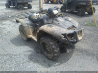 2007 HONDA TRX500 FM 1HFTE317274206750