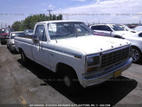 1981 FORD F100 1FTCF10E7BPA59120