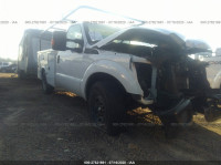 2016 FORD SUPER DUTY F-350 SRW SUPER DUTY 1FDBF3A66GEC18058