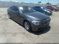 2013 BMW 5 SERIES I WBAXG5C59DDY34441