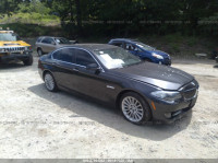2013 BMW 5 SERIES XI WBAXH5C59DDW14116