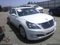 2012 HYUNDAI EQUUS SIGNATURE/ULTIMATE KMHGH4JH0CU046066