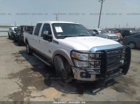 2011 FORD SUPER DUTY F-350 SRW XL/XLT/LARIAT/KING RANCH 1FT8W3AT8BEC35425