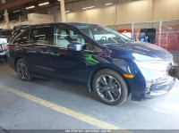 2023 HONDA ODYSSEY ELITE 5FNRL6H90PB009992